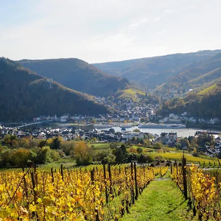 Moselidyll-traumferienwohnung In Exponierter Moselufer-lage By Interhome Apartment *