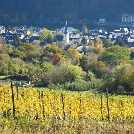 Moselidyll-traumferienwohnung In Exponierter Moselufer-lage By Interhome Apartment *