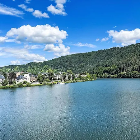 Apartment Moselidyll-traumferienwohnung In Exponierter Moselufer-lage By Interhome