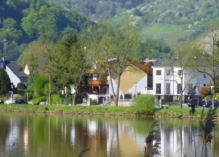 Moselidyll-traumferienwohnung In Exponierter Moselufer-lage By Interhome Apartamento