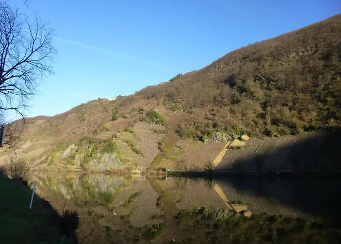 Moselidyll-traumferienwohnung In Exponierter Moselufer-lage By Interhome * Traben-Trarbach