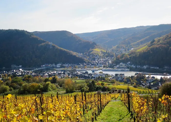 Moselidyll-traumferienwohnung In Exponierter Moselufer-lage By Interhome Apartamento *