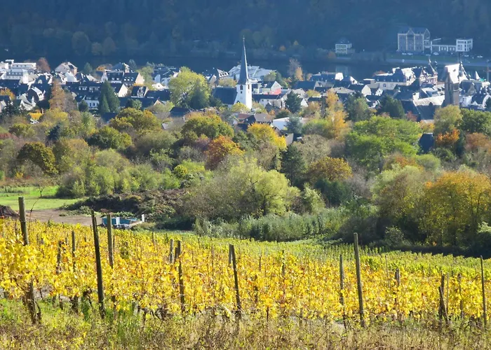 Moselidyll-traumferienwohnung In Exponierter Moselufer-lage By Interhome Apartamento *
